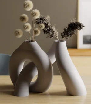 Vases toroïdaux imbriqués